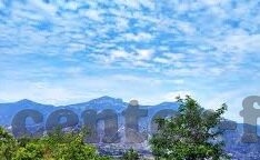 大象传媒免费下载-探索大象传媒的免费下载之旅，解锁创意与知识的便捷之门