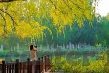 糖心vlog许木学长-糖心Vlog,许木学长,编织青春故事的光影大师